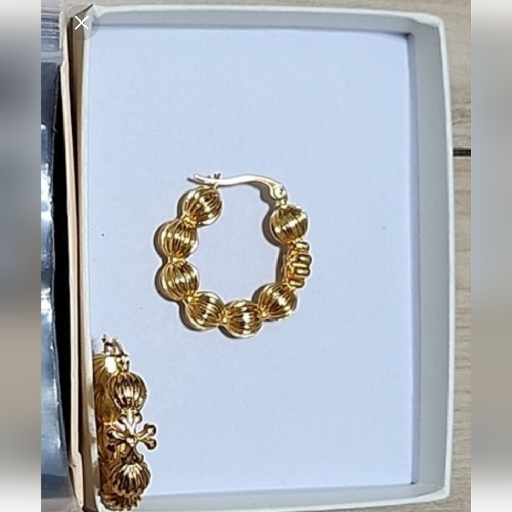 Earrings new